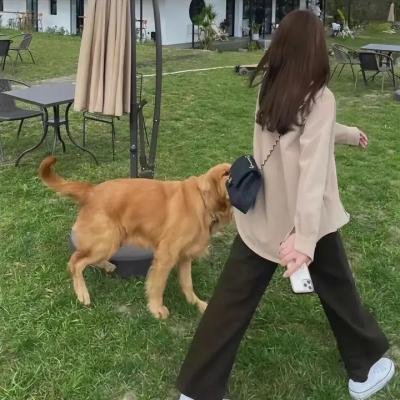 荡妇娜娜